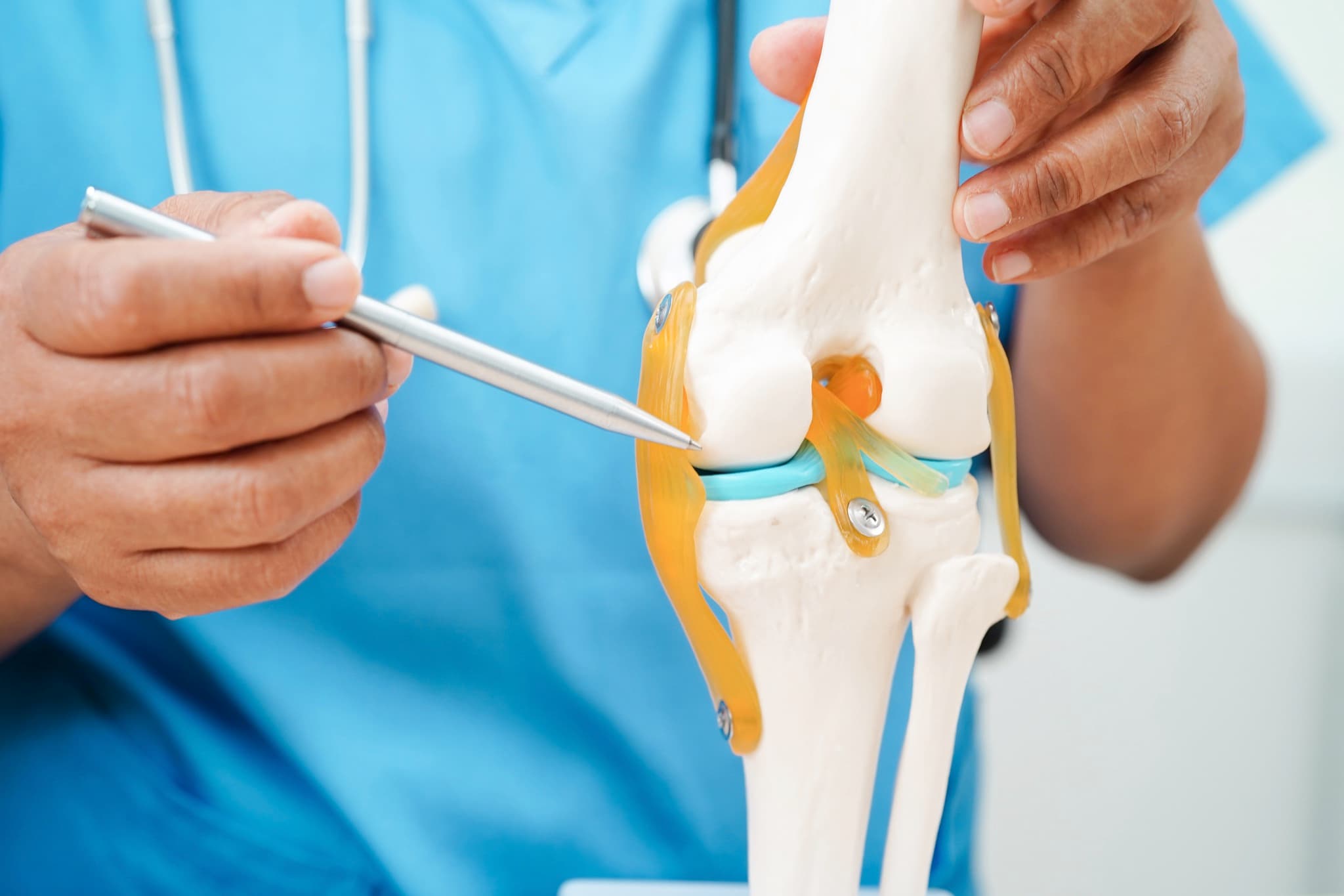 Consultation with knee anatomy model