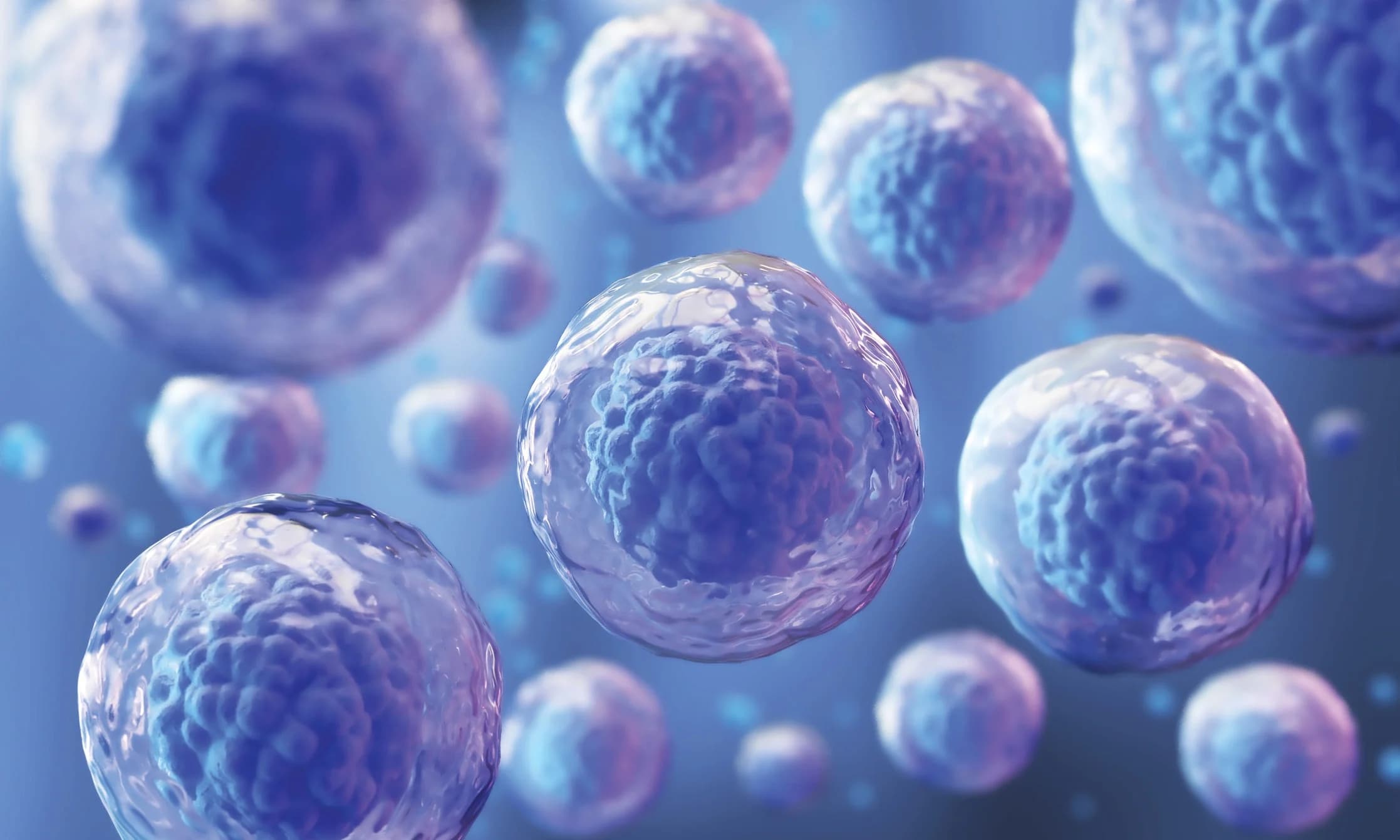 Conceptual visualisation of microscopic cellular material